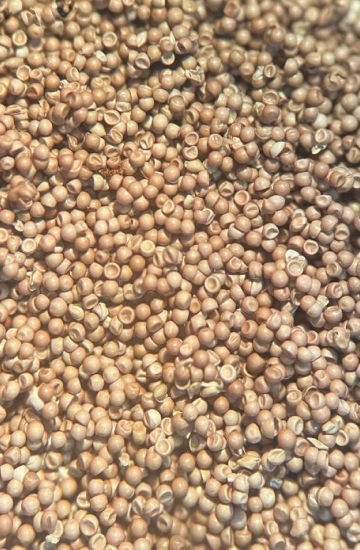 150g